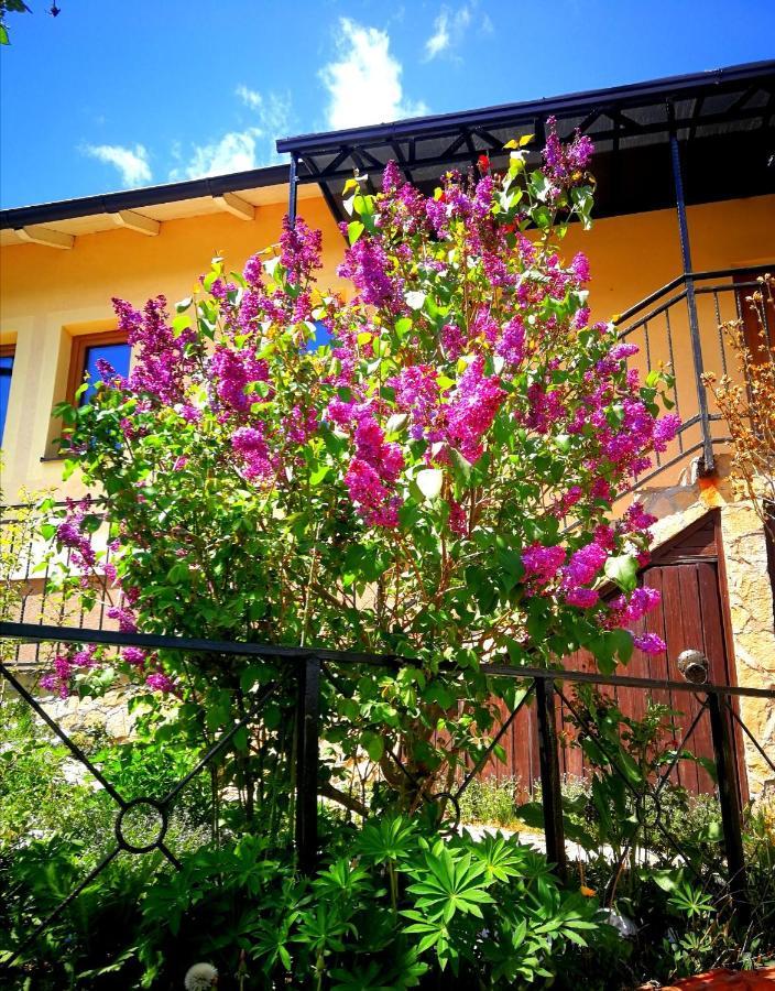 Paradise Garden Villa Sarajevo