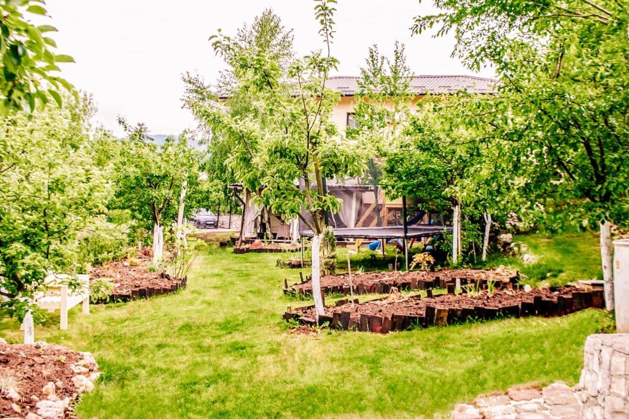 Paradise Garden SJJ