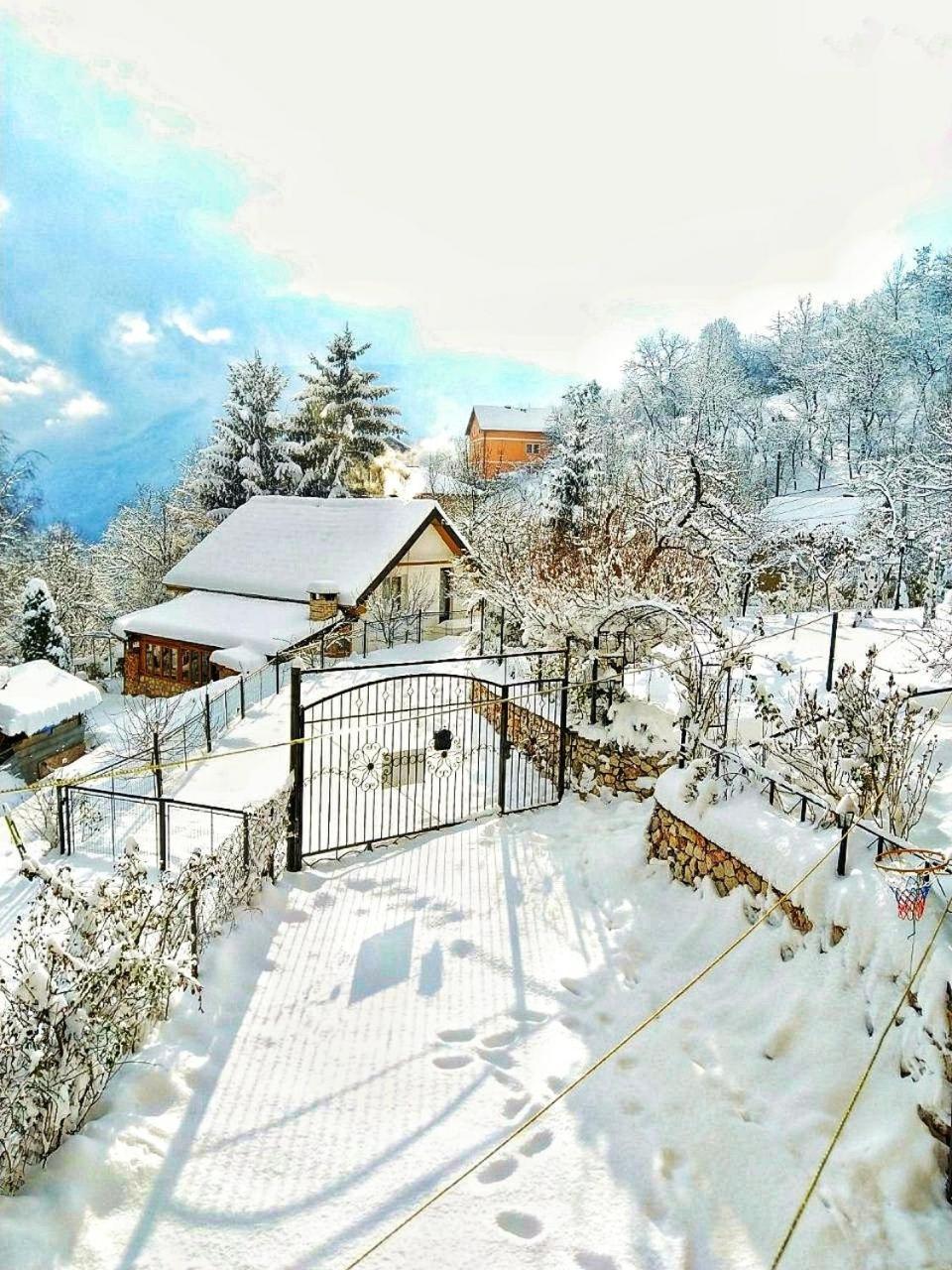 Villa Paradise Garden *