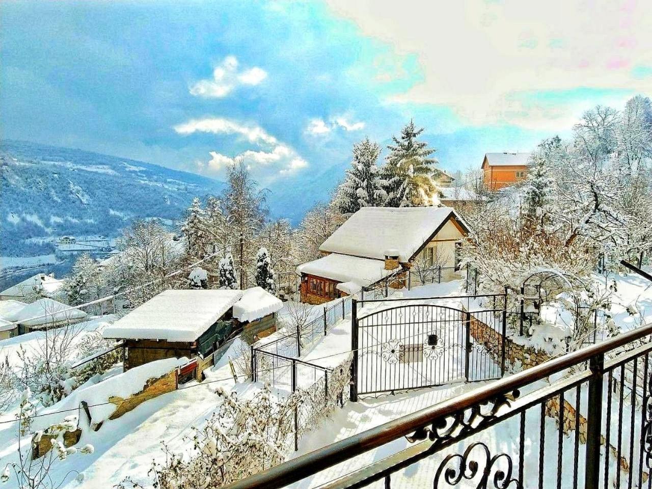 Villa Paradise Garden *